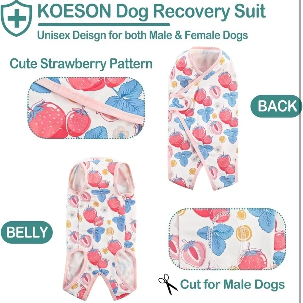 Spay suit